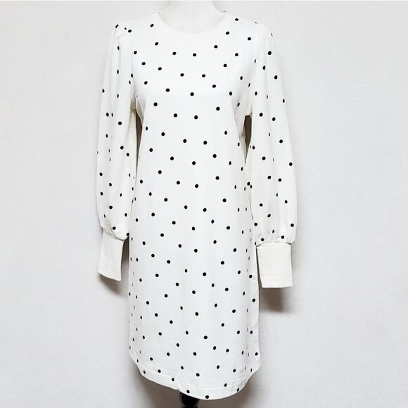 BODEN Ramona Sweatshirt Dress Long Sleeve Ivory Navy Blue Polka-dot 100% Cotton - Picture 2 of 12